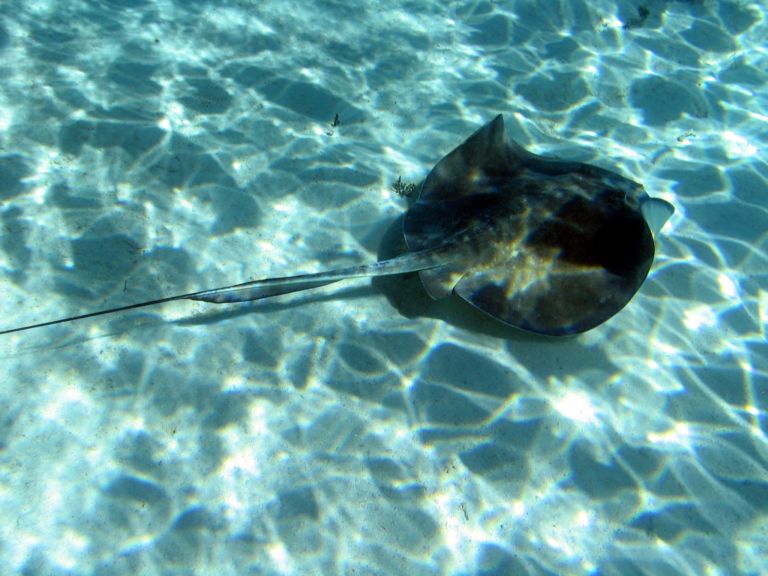 Belize Dec 2005