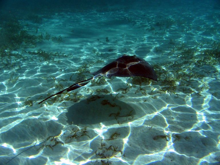 Belize Dec 2005