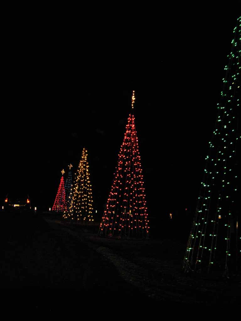 089: Kentucky Horse Park, Southern Lights, 2007