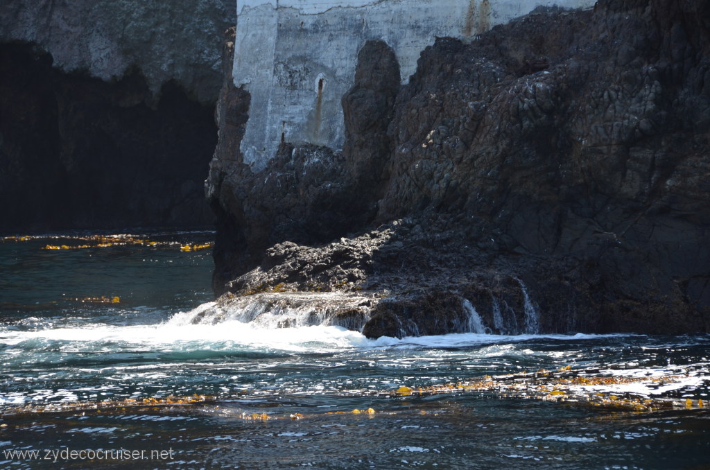 112: Island Packers, Island Wildlife Cruise, Anacapa Island, 