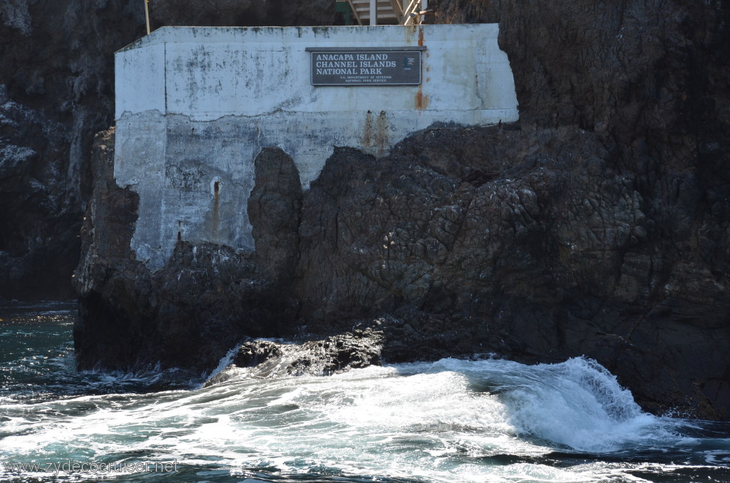 113: Island Packers, Island Wildlife Cruise, Anacapa Island, 