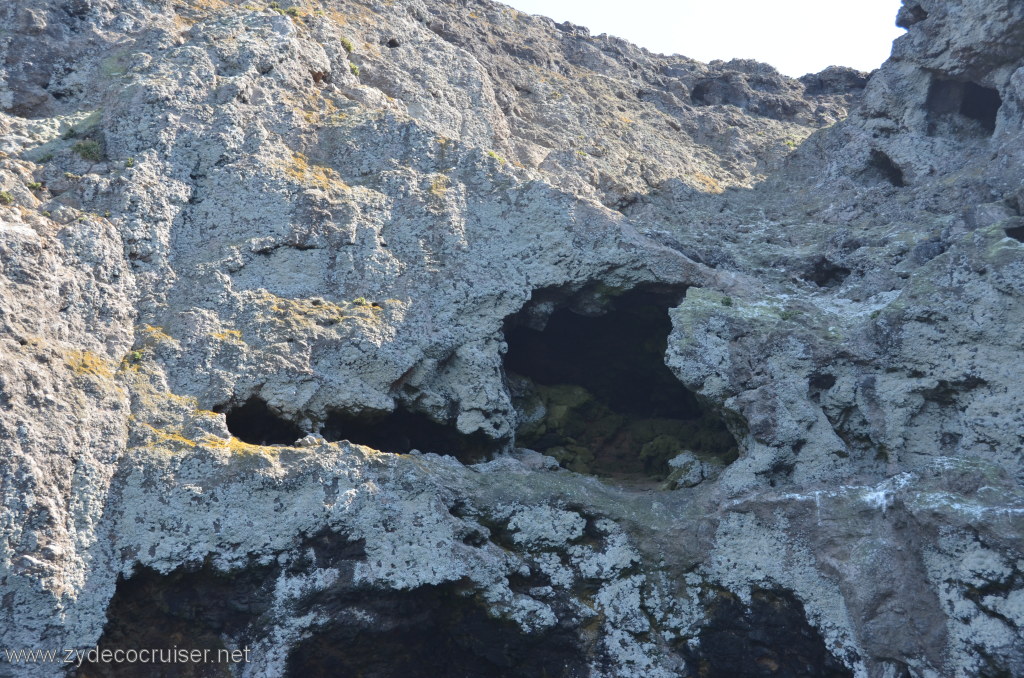 122: Island Packers, Island Wildlife Cruise, Anacapa Island, 