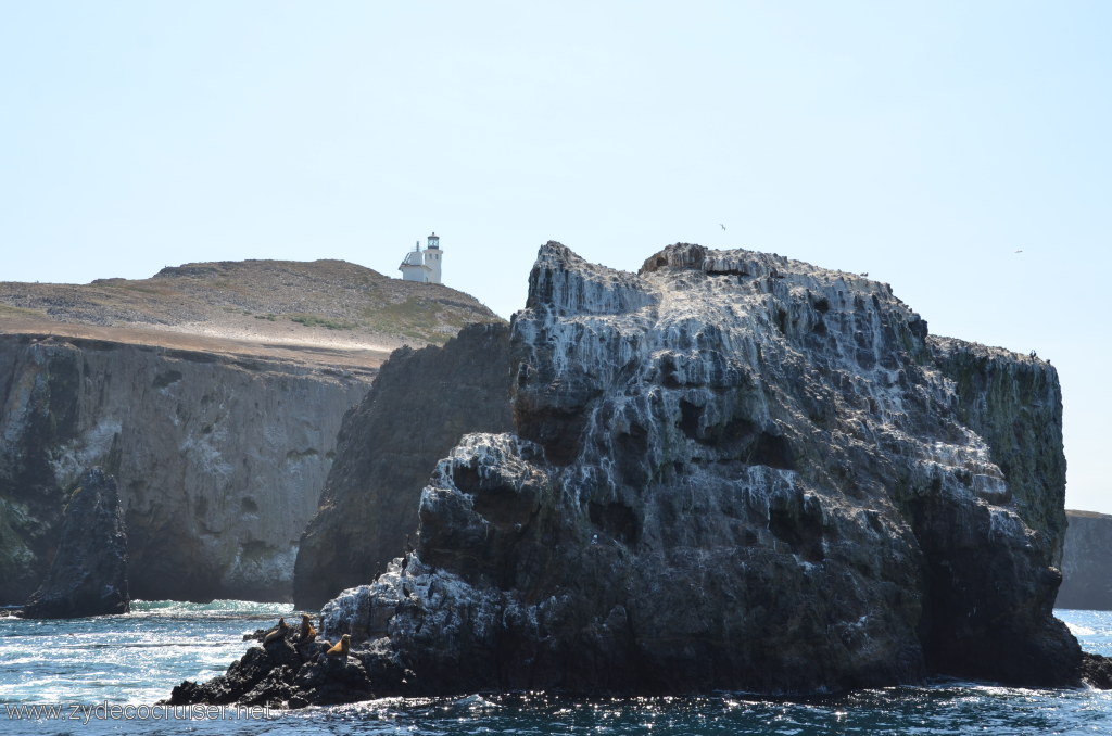 149: Island Packers, Island Wildlife Cruise, Anacapa Island, East End