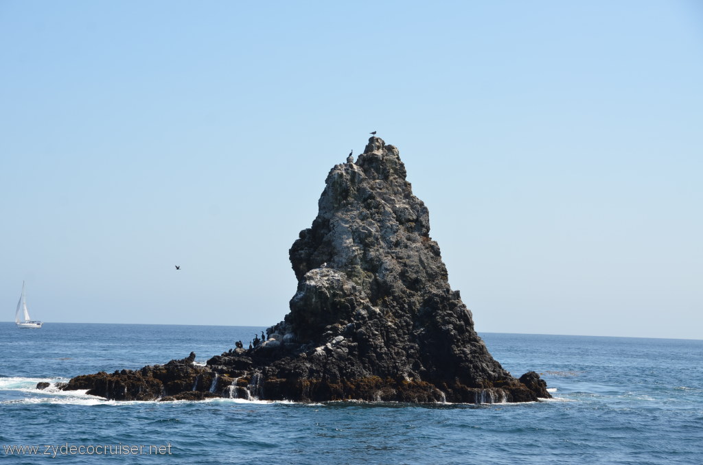 150: Island Packers, Island Wildlife Cruise, Anacapa Island, 