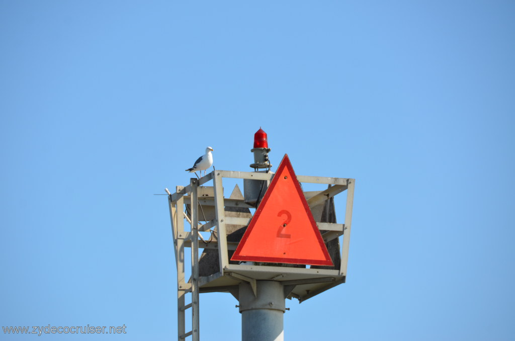 175: Island Packers, Island Wildlife Cruise, Anacapa Island, 