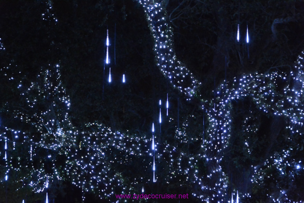 107: Celebration in the Oaks, New Orleans, Dec 2013