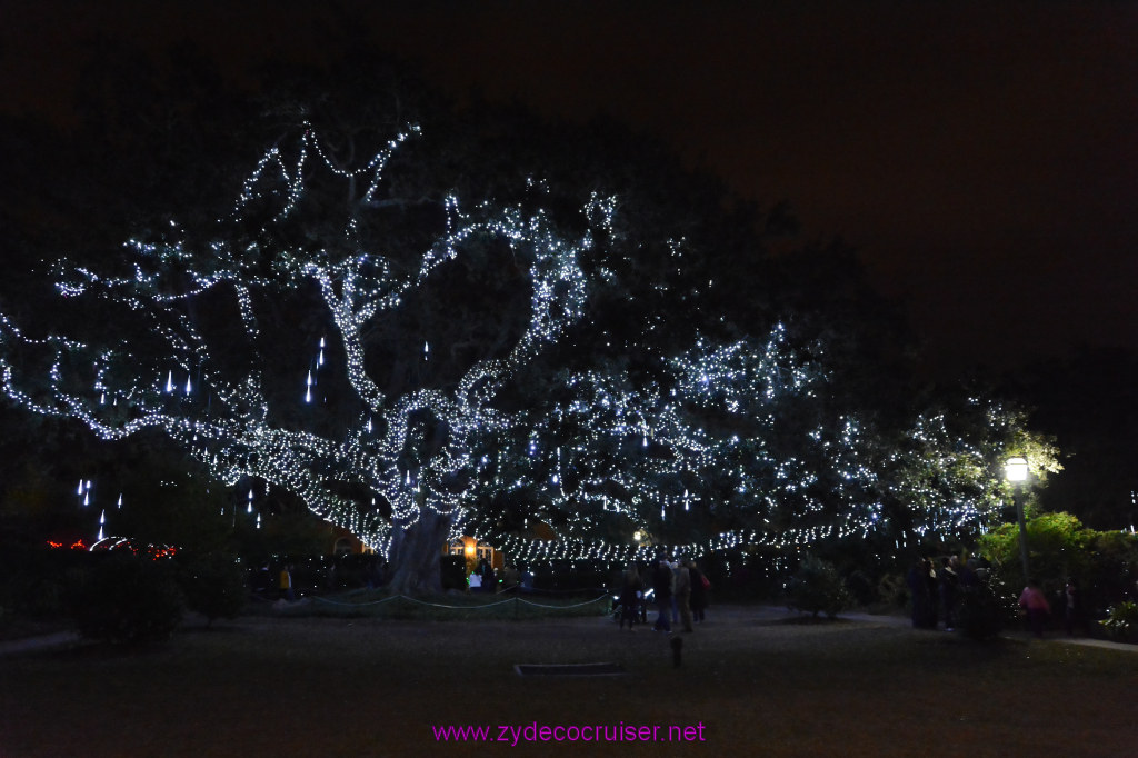 108: Celebration in the Oaks, New Orleans, Dec 2013