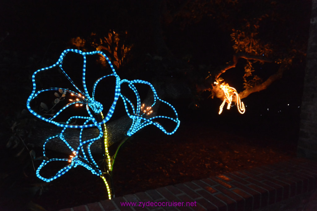 111: Celebration in the Oaks, New Orleans, Dec 2013