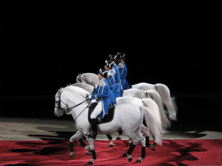 096: Lipizzaner Stallions, Mar 15, 2009