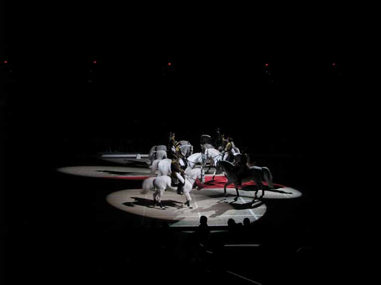 173: Lipizzaner Stallions, Mar 15, 2009
