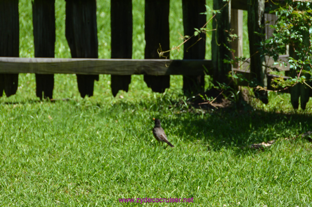 073: Magnolia Mound Plantation, Baton Rouge, LA