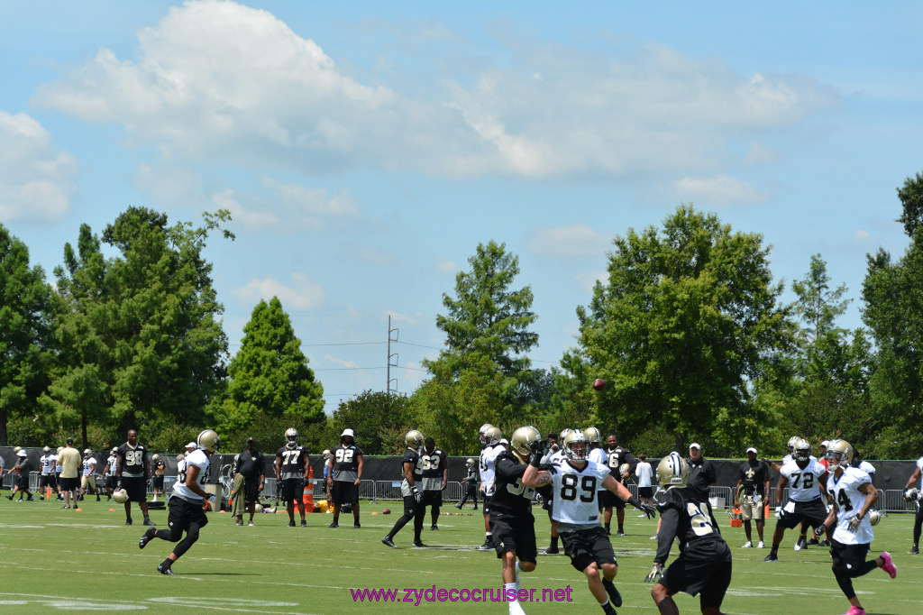 020: New Orleans Saints Mini-Camp, Kenner, June 2014, 