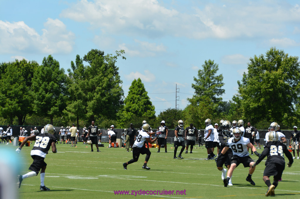 022: New Orleans Saints Mini-Camp, Kenner, June 2014, 