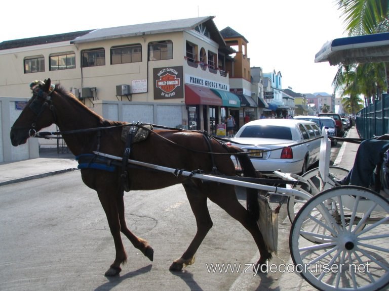 Horse and Carriage (Surrey) City Tour, Nassau, Bahamas