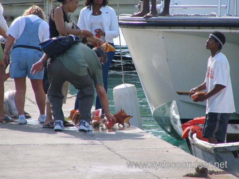 Conch shells for sale, Nassau, Bahamas