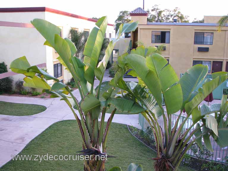 019: Comfort Inn and Suites, Long Beach, 
