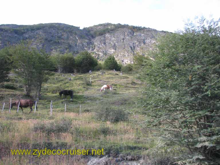 069: Carnival Splendor, Ushuaia, Tierra del Fuego, 