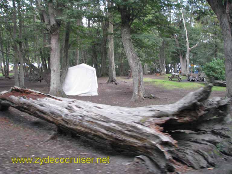 114: Carnival Splendor, Ushuaia, Tierra del Fuego, 
