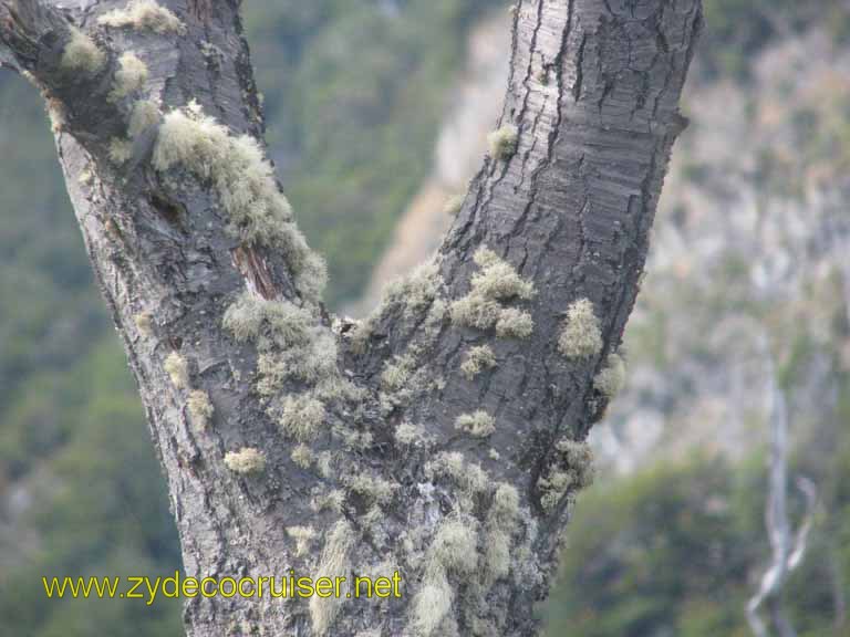 190: Carnival Splendor, Ushuaia, Tierra del Fuego, 