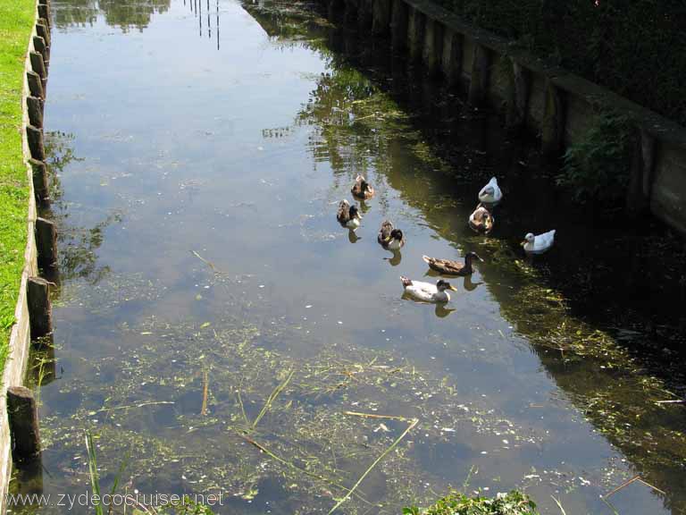 179: Carnival Splendor, Amsterdam, Marken and Voledam Excursion