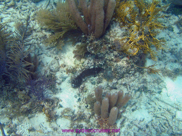 027: Carnival Valor, Belize, Goff's Caye