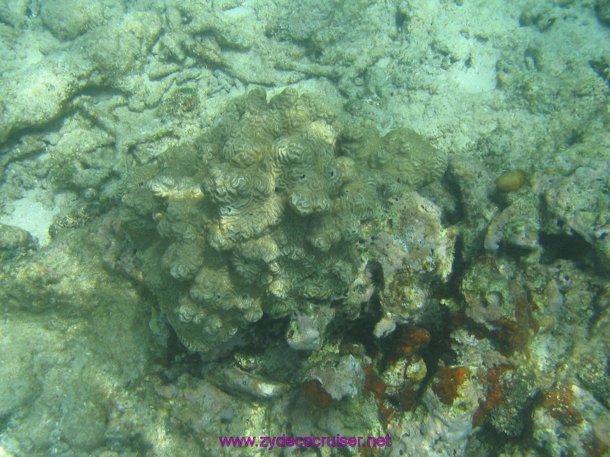 040: Carnival Valor, Belize, Goff's Caye