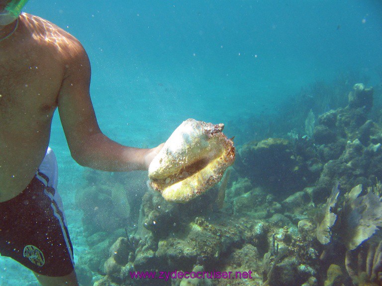 Costa Maya $15 snorkel trip