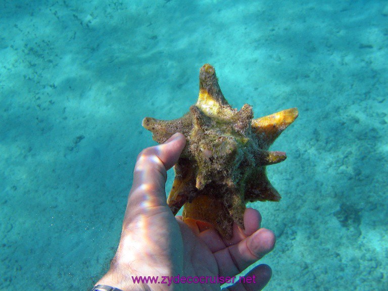 Costa Maya $15 snorkel trip