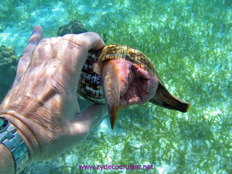 Costa Maya $15 snorkel trip