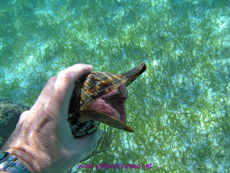 Costa Maya $15 snorkel trip